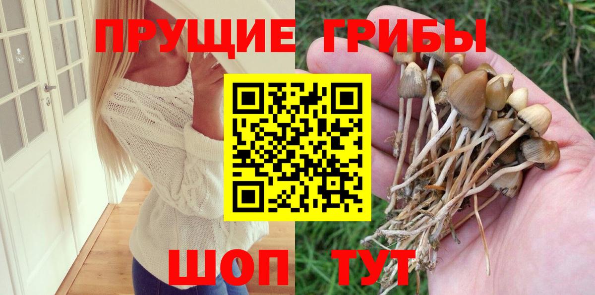 Псилоцибиновые грибы MAGIC MUSHROOMS Богородск