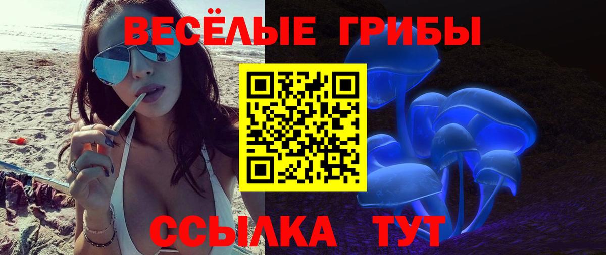 Галлюциногенные грибы Psilocybine cubensis  Вход с VPN  Псилоцибиновые грибы Magic Shrooms  Богородск 